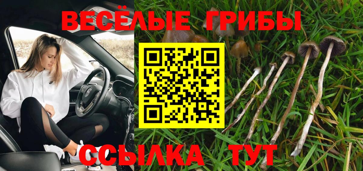 Заринск  Галлюциногенные грибы мухоморы  Вход с VPN  Галлюциногенные грибы Magic Shrooms 